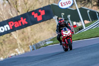 Oulton-Park-20th-March-2020;PJ-Motorsport-Photography-2020;anglesey;brands-hatch;cadwell-park;croft;donington-park;enduro-digital-images;event-digital-images;eventdigitalimages;mallory;no-limits;oulton-park;peter-wileman-photography;racing-digital-images;silverstone;snetterton;trackday-digital-images;trackday-photos;vmcc-banbury-run;welsh-2-day-enduro